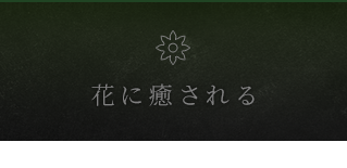 花に癒される